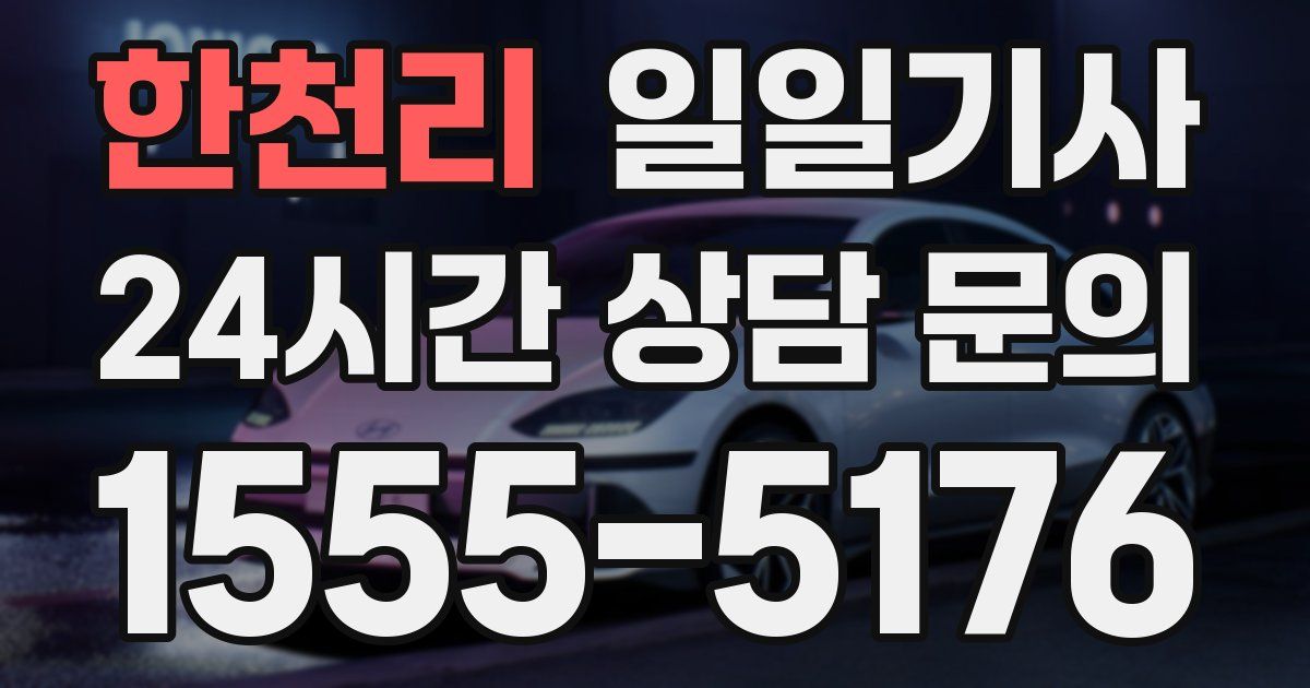 일일대리기사
