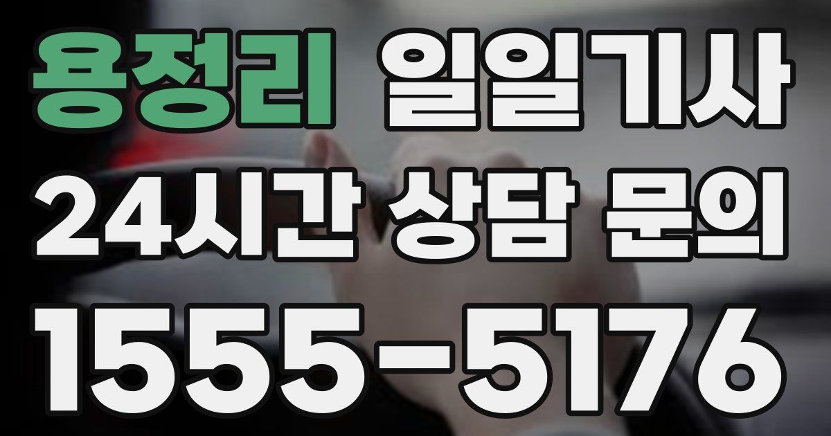 일일대리기사