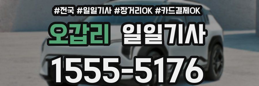 오갑리 일일기사