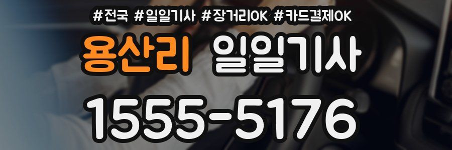용산리 일일기사