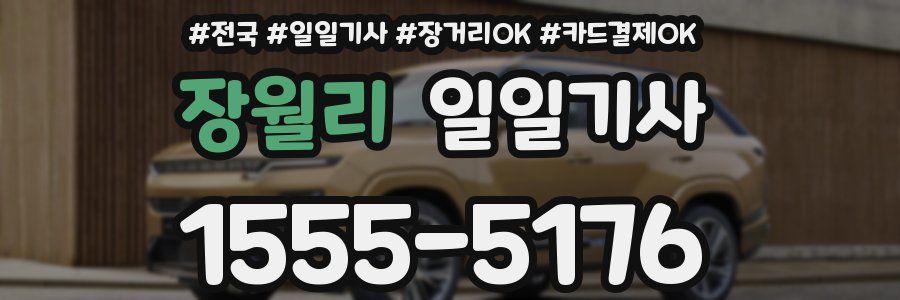 장월리 일일기사