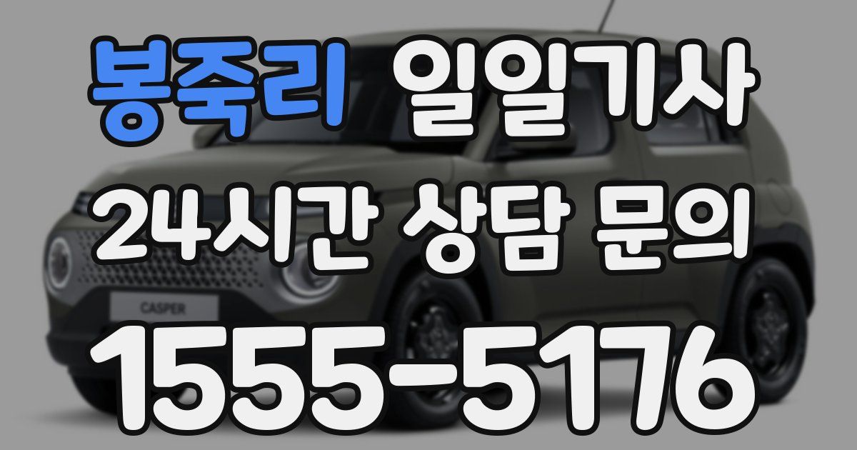 일일대리기사