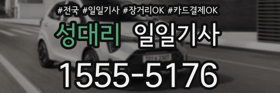 성대리 일일기사