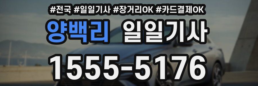 양백리 일일기사