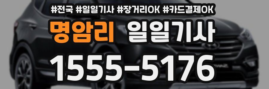 명암리 일일기사