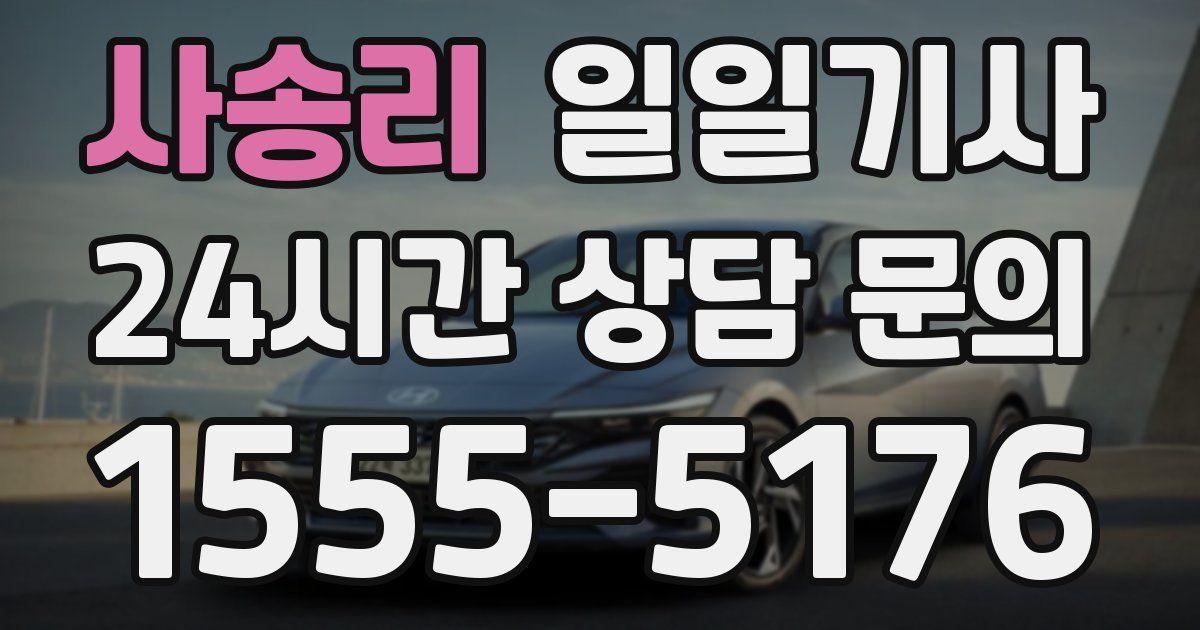 일일대리기사