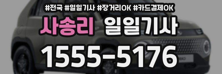 사송리 일일기사