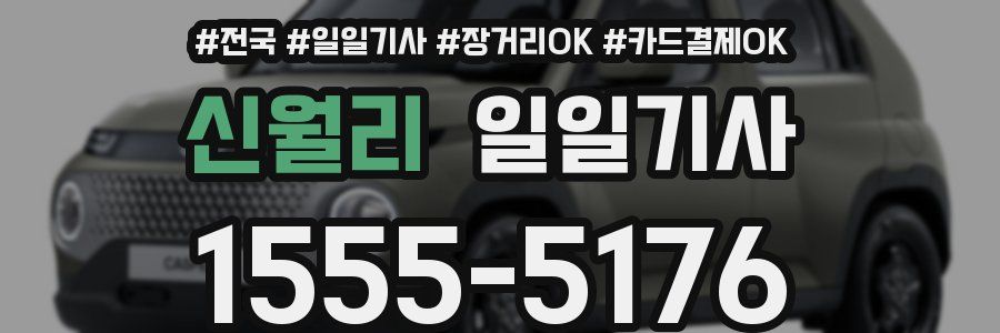 신월리 일일기사