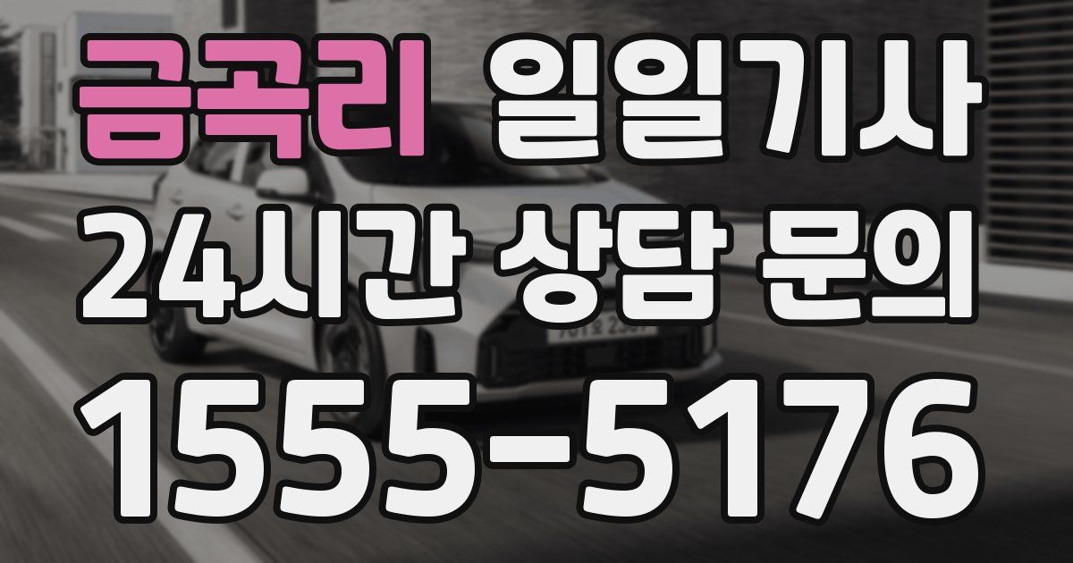 일일대리기사