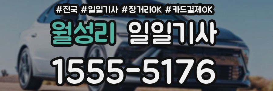 월성리 일일기사