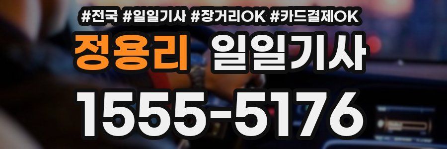 정용리 일일기사