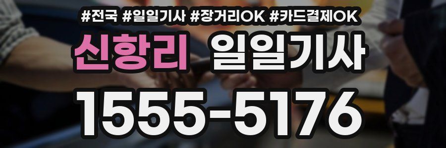 신항리 일일기사