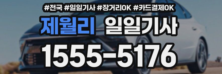 제월리 일일기사