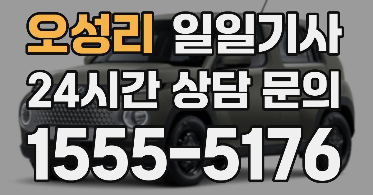 일일대리기사