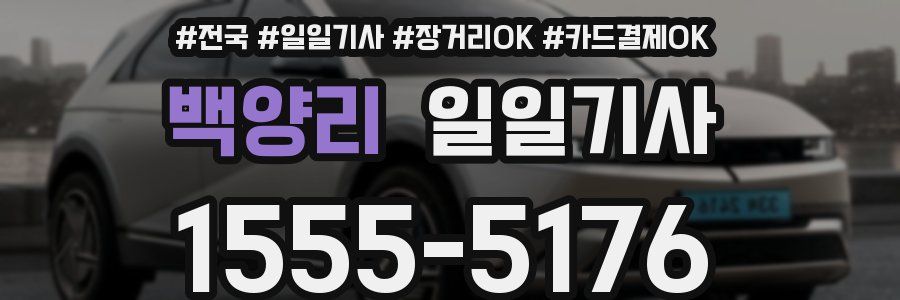 백양리 일일기사