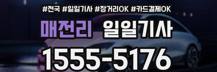 매전리 일일기사