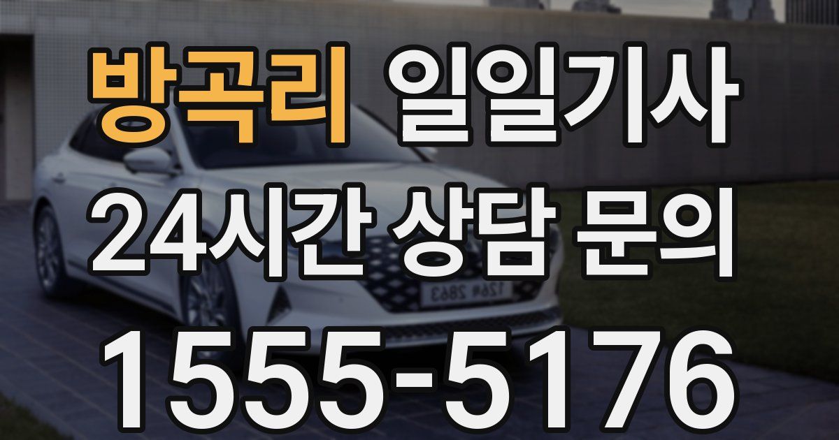 일일대리기사