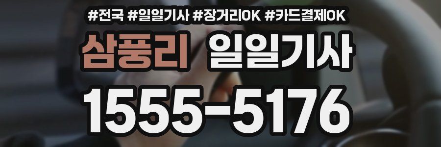 삼풍리 일일기사