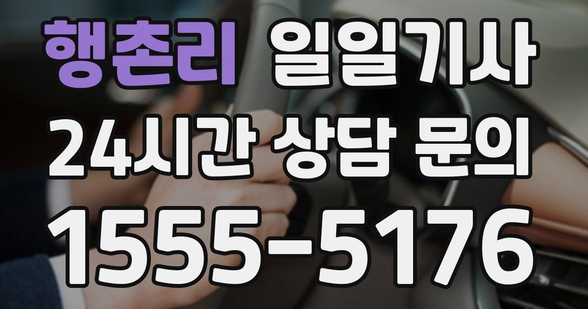 일일대리기사