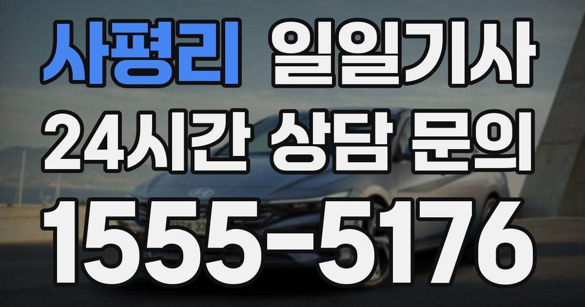 일일대리기사