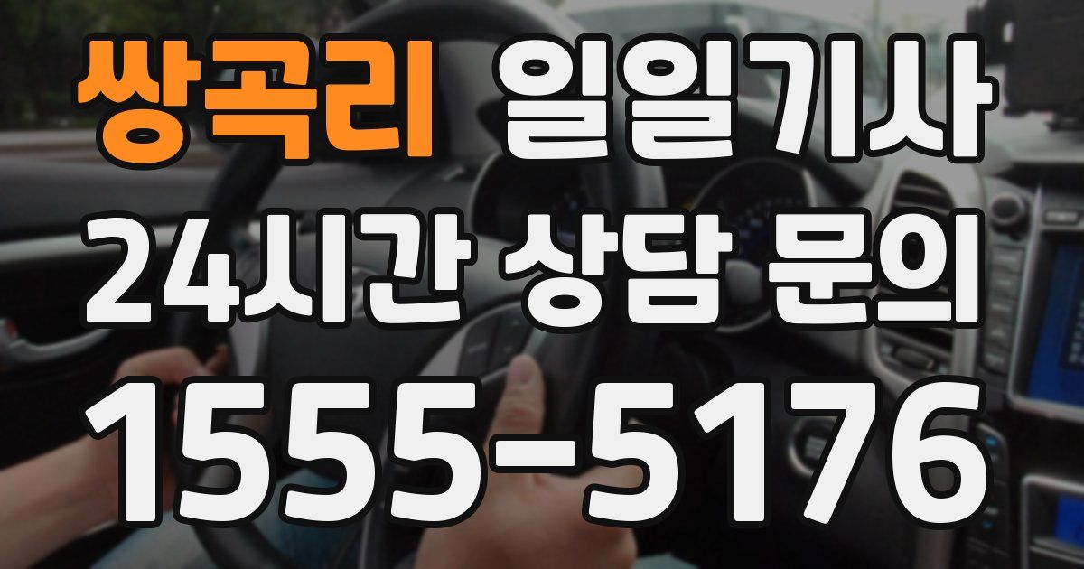일일대리기사