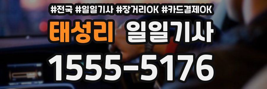 태성리 일일기사