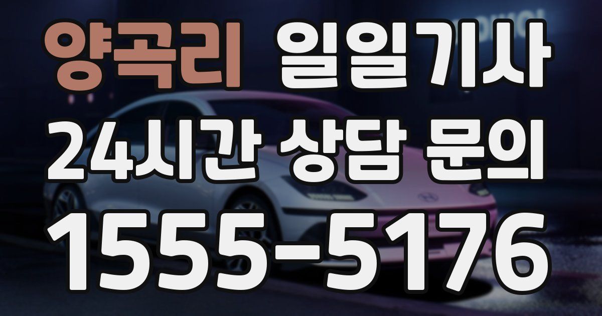일일대리기사