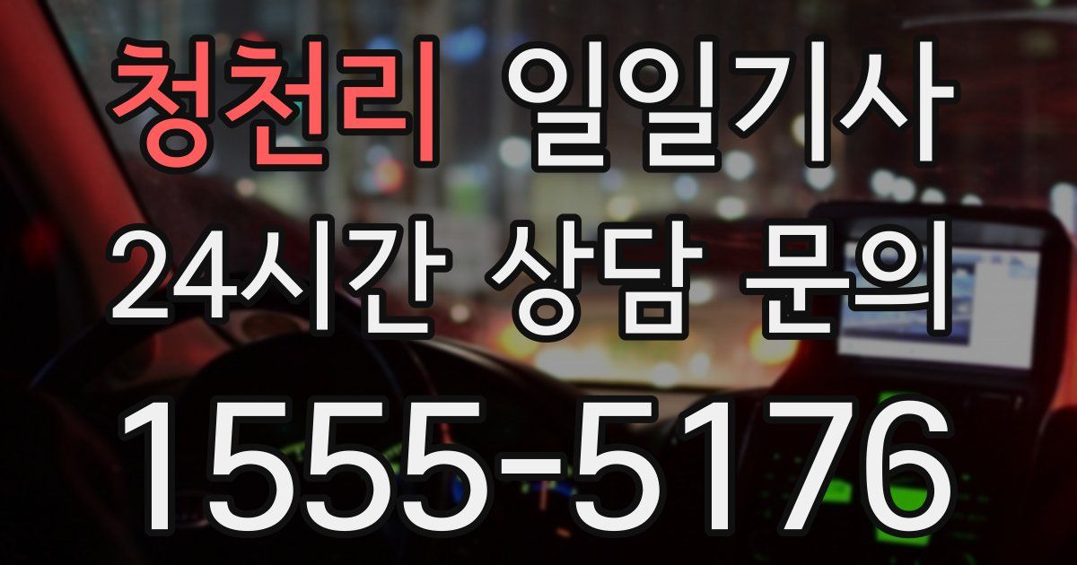 일일대리기사