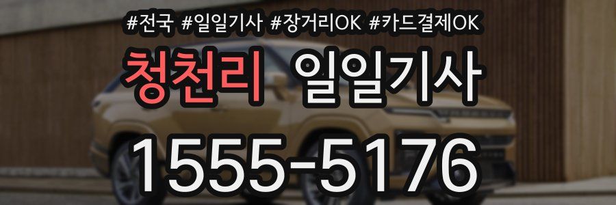 청천리 일일기사