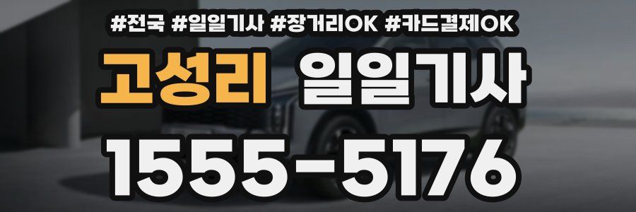 고성리 일일기사