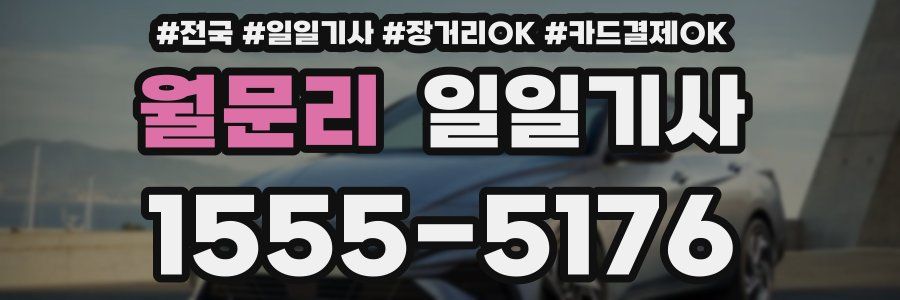 월문리 일일기사