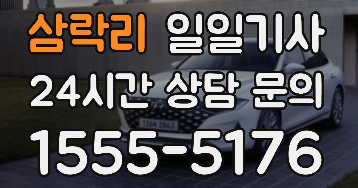 일일대리기사