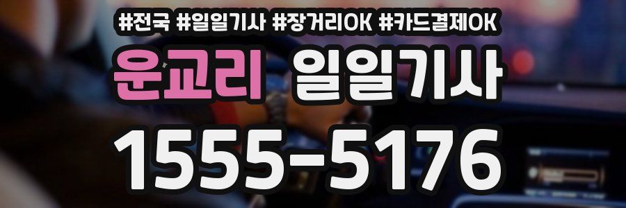 운교리 일일기사