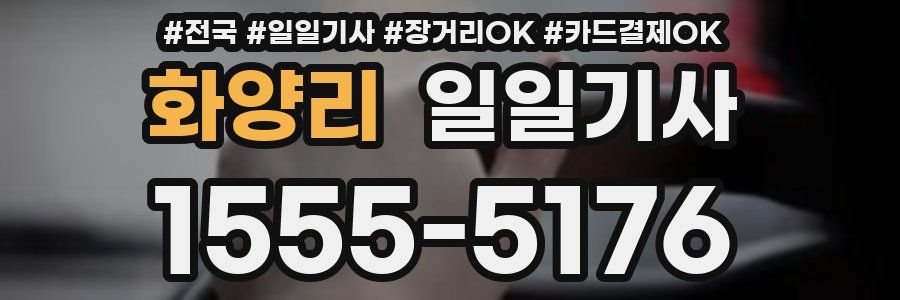 화양리 일일기사