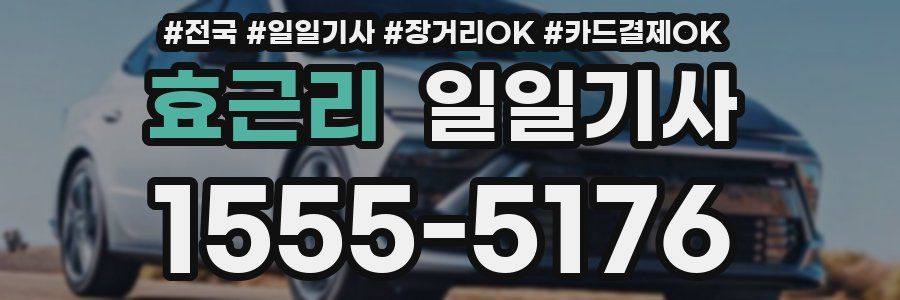 효근리 일일기사