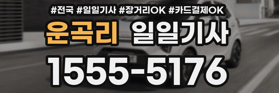 운곡리 일일기사