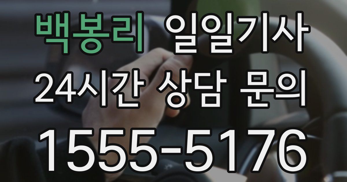 일일대리기사