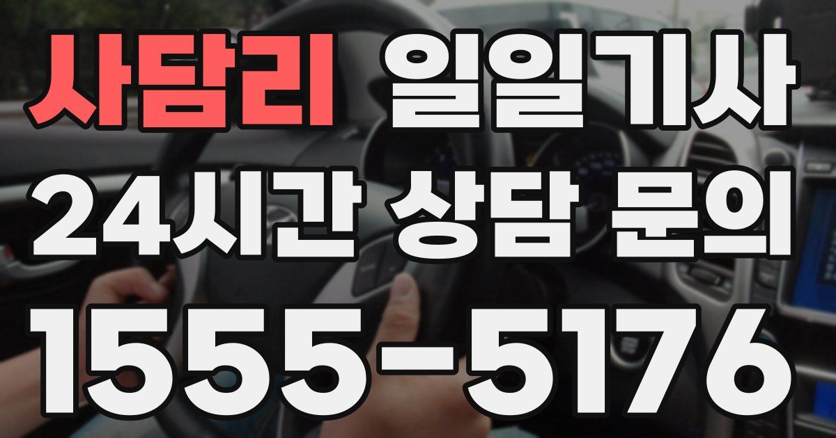 일일대리기사
