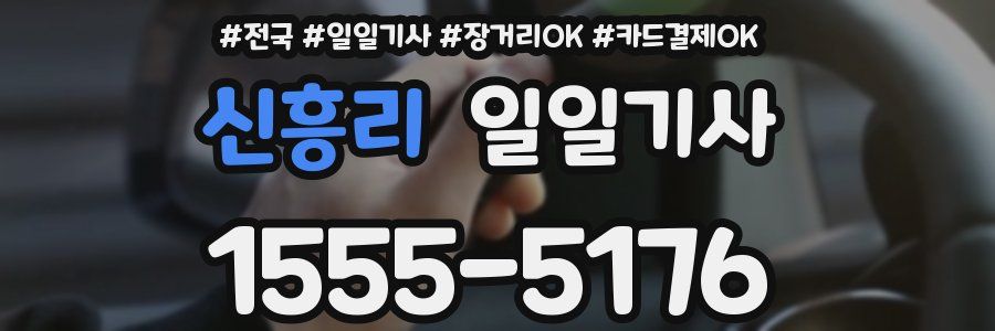 신흥리 일일기사