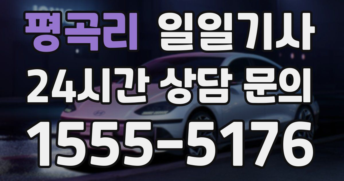 일일대리기사