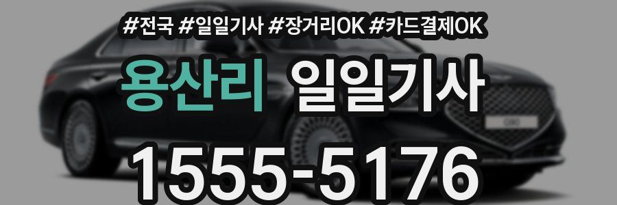 용산리 일일기사