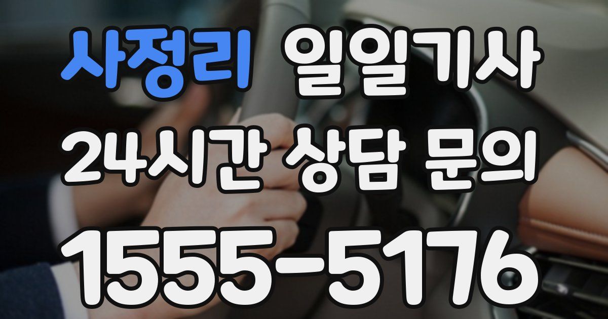 일일대리기사