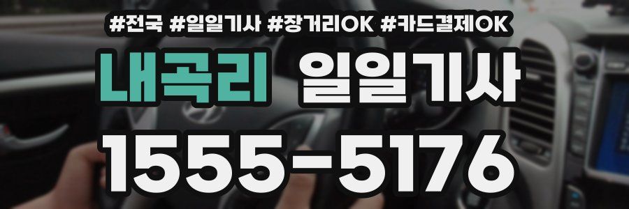 내곡리 일일기사