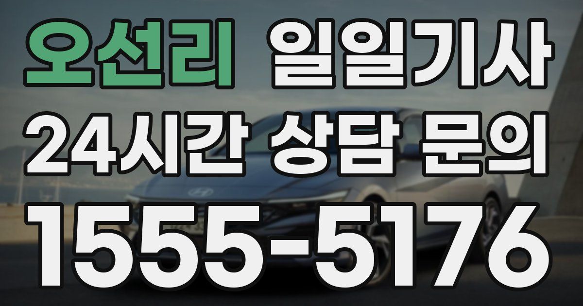 일일대리기사