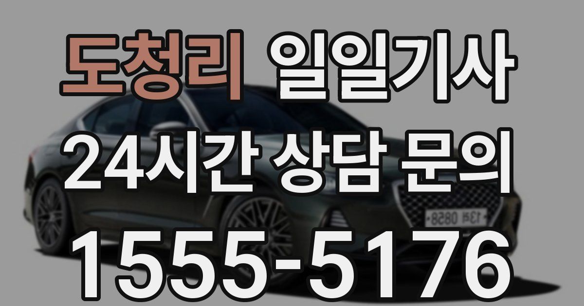 일일대리기사
