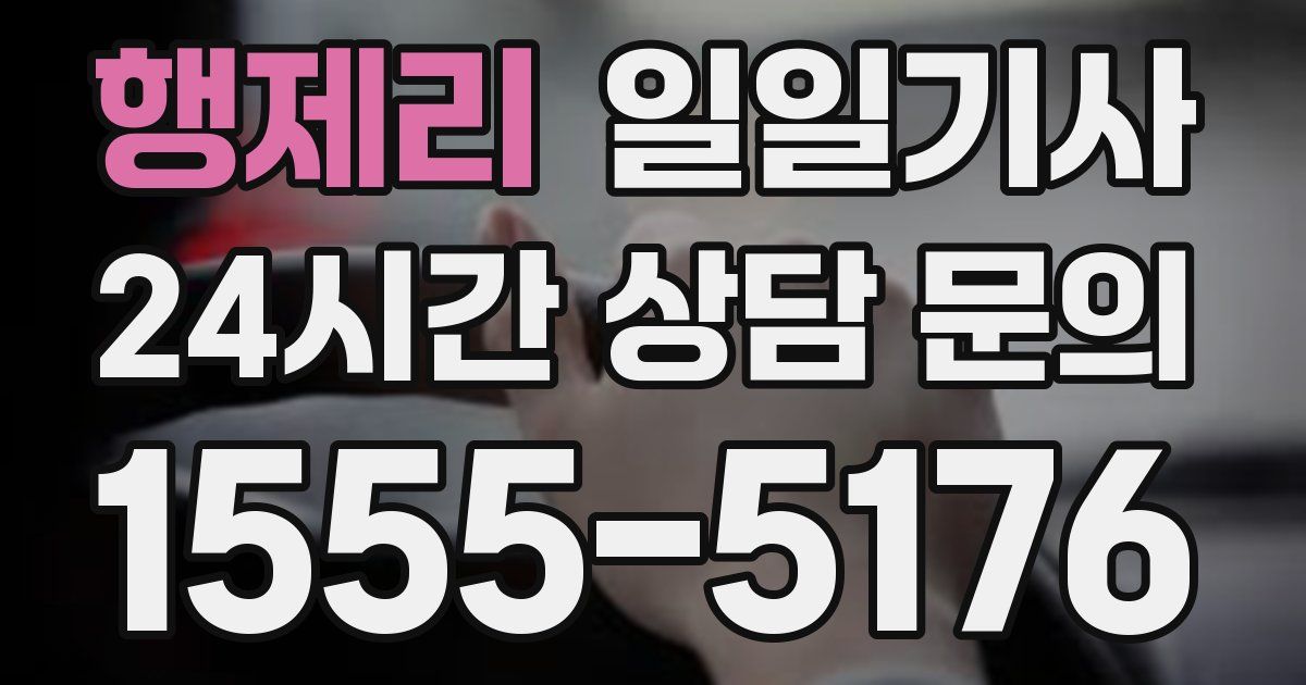 일일대리기사