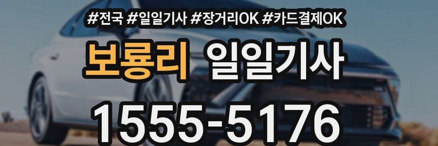 보룡리 일일기사