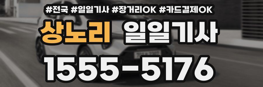 상노리 일일기사