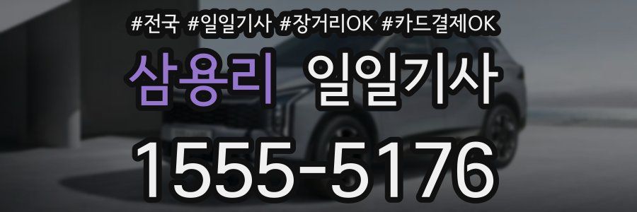 삼용리 일일기사