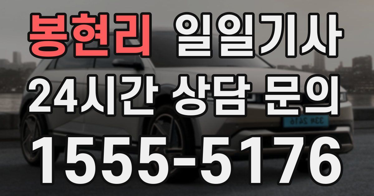 일일대리기사